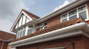 homepage banner image